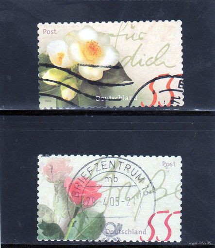 Германия. Цветы. 2004