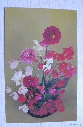 Листопадов О., Композиция из цветов; 1983, чистая (размер 9*14).
