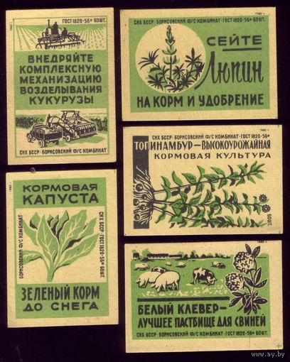 5 этикеток 1960 год Сельское хозяйство Борисов