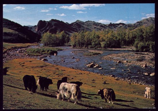 Монголия Река Богдын гол 2