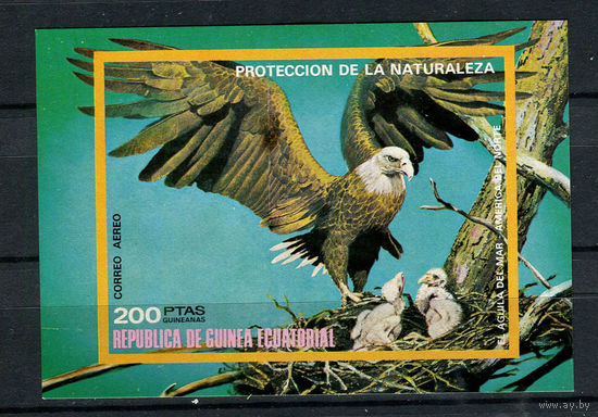 Экваториальная Гвинея - 1976 - Птицы Северной Америки - [Mi. bl. 251] - 1 блок. MNH.