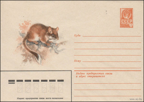 Художественный маркированный конверт СССР N 14398 (25.06.1980) [Садовая соня]