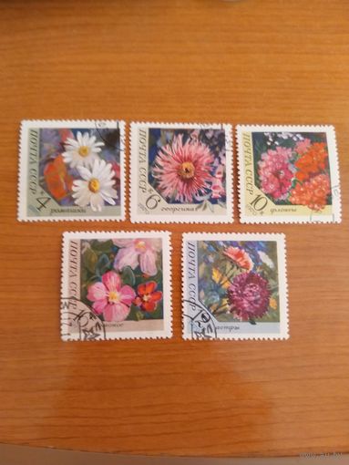 1970 СССР гашеная полная серия с 3 разновидностями 3867Va, 3870Va, 3871Va MNH** флора цветы (сф-9)