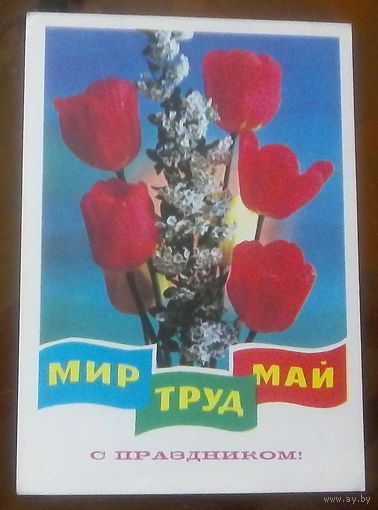 1977 год Г.Ренков Мир Труд Май С праздником