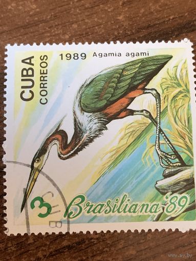 Куба 1989. Птицы. Agamia agami. Марка из серии
