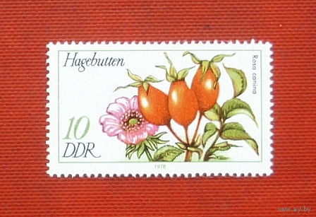 ГДР. Цветы. ( 1 марка ) 1978 года. 10-18.