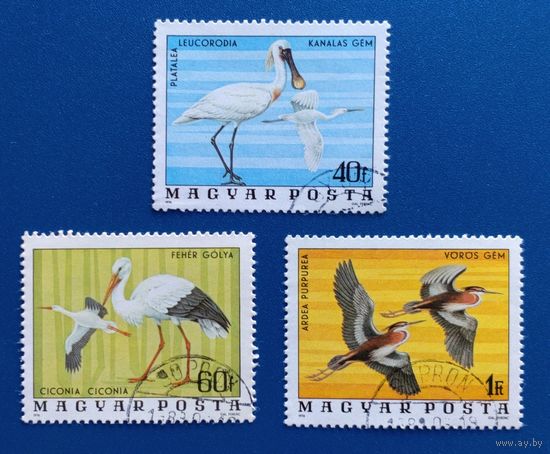 Венгрия.1976.Птицы (3 марки)