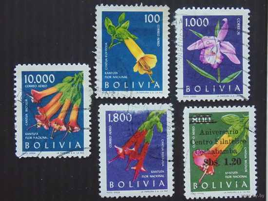 Боливия. Цветы.