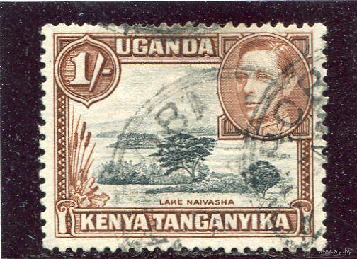 Кения Уганда Танганьика. Озеро Найваша