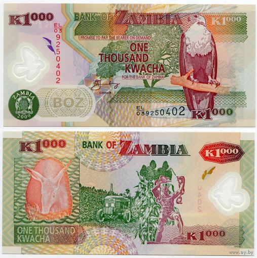 Замбия. 1000 квача (образца 2009 года, P44g, UNC)