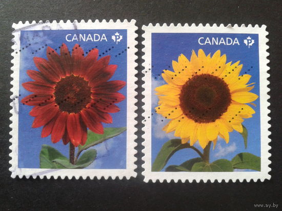 Канада 2011 цветы полная серия