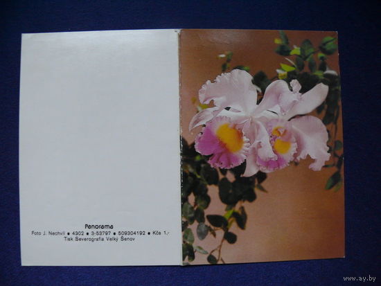 Цветы, мини-открытка, подписана.