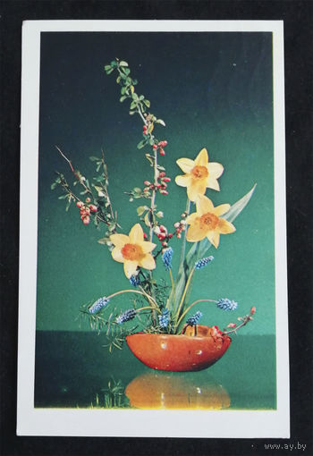 Минченко И. Поздравляю ! Флора. Цветы 1974 год #0064-FL1P32