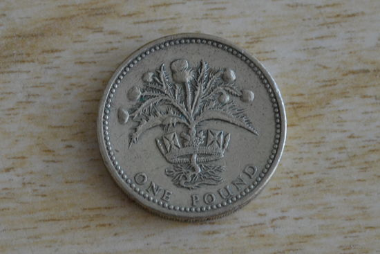 Великобритания 1 фунт 1984