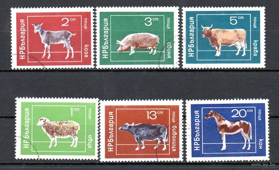 Домашние животные Болгария 1974 год серия из 6 марок