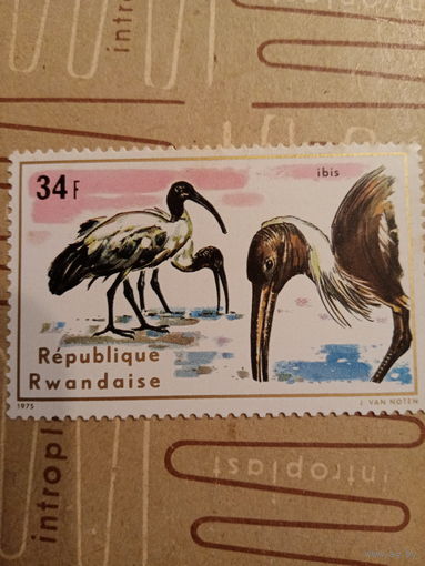 Руанда 1975. Фауна. Птицы. Ибис
