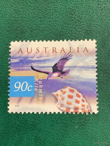 Австралия 1999. Фауна. Brahminy Kite