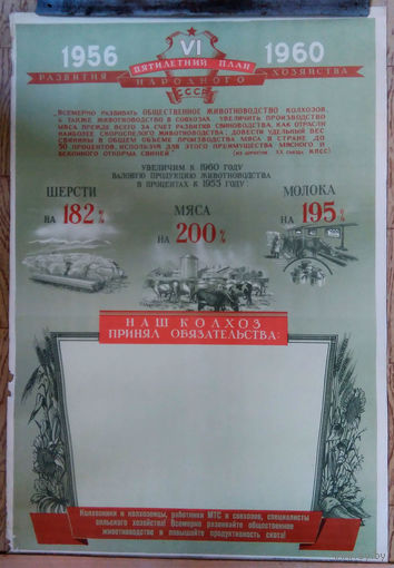 Плакат. 020. 1956 г./56,5Х82 см./