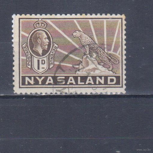 [824] Британские колонии. Ньясаленд 1934. Георг V.Фауна.Леопард.1d. Гашеная марка.