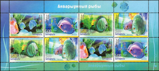 Аквариумные рыбы Беларусь 2006 год (677-680)  серия из 4-х марок в малом листе