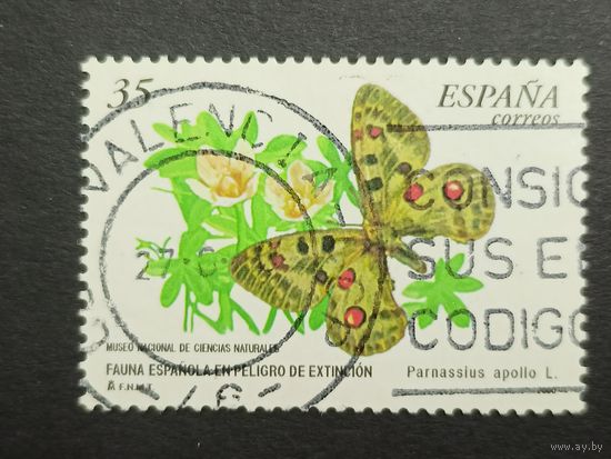 Испания 2000. Редкие виды бабочек