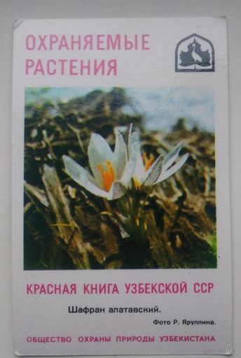 Календарик карманный . Узбекистан. 1985 год.