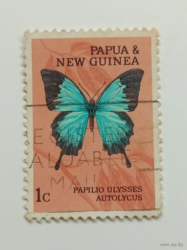 Папуа Новая Гвинея 1966-1967. Бабочки