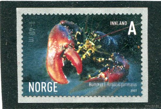 Норвегия. Фауна моря. Европейский омар