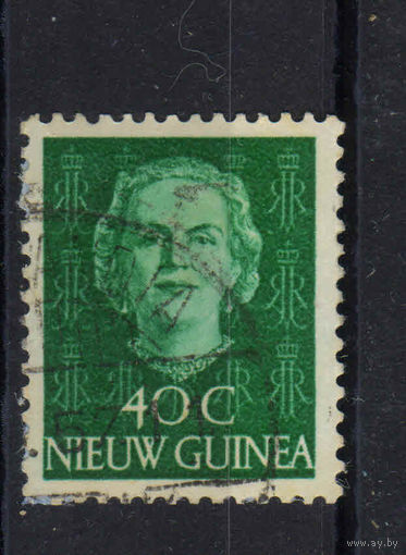 NL Колонии Нидерландская Новая Гвинея 1950 Юлиана Стандарт #14