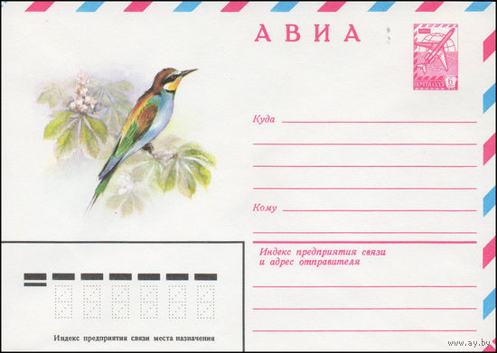 Художественный маркированный конверт СССР N 14136 (19.02.1980) АВИА  [Золотистая щурка]