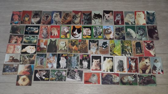 Коты кошки котята карманные календарики 65 шт