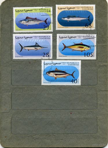 САХАРА, 1997  СПОРТ,  ИХТИОФАУНА,   5 марок