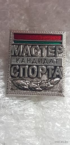 Кандидат мастер спорта Беларусь*