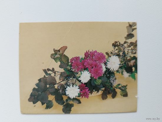Композиция из цветов. 1983 год