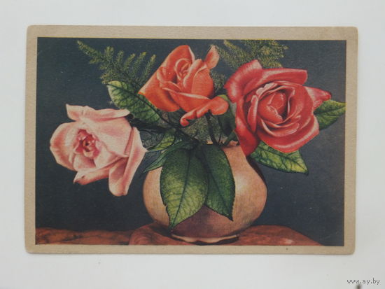Открытка розы 1947  10х15 см