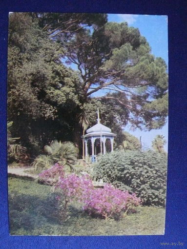 Фото Кропивницкого И., Ялта. Никитский ботанический сад., 1971, авиа, чистая.