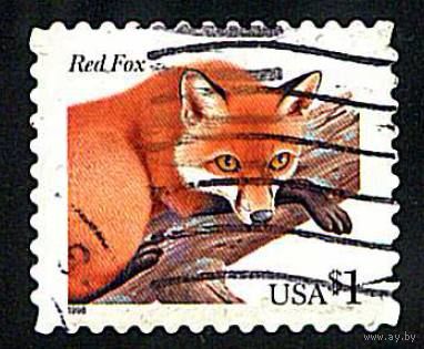 Марка США. Красная лисица