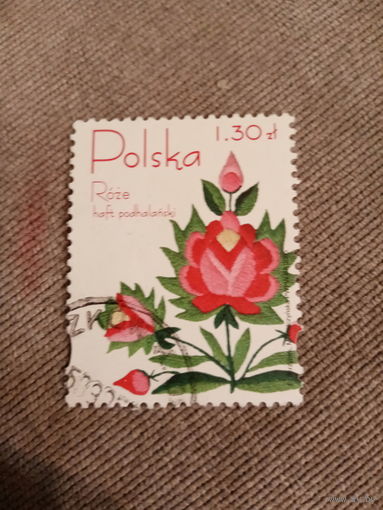 Польша 2005. Роза Подляская