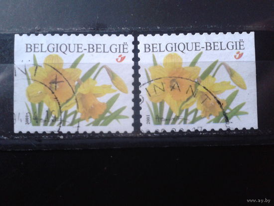 Бельгия 2001 Нарциссы, марки из буклета, обрез слева и справа