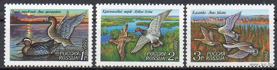 Утки Россия 1992 год (35-37) серия из 3-х марок