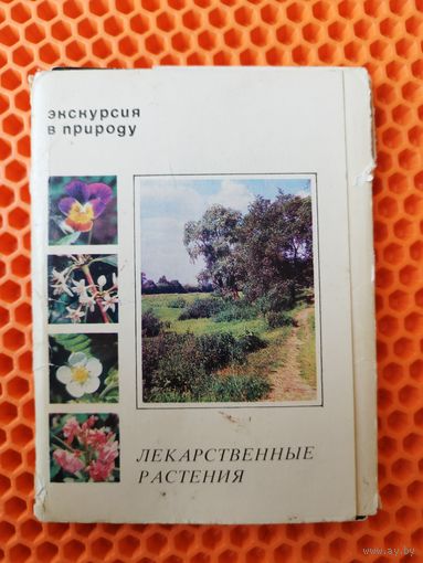 Экскурсия в природу. Лекарственные растения. Набор 24 открытки. 1977 год. Выпуск 2