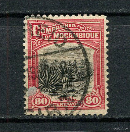 Португальские колонии - Мозамбик (Comp de Mocambique) - 1925 - Сизаль, плантации 80С - [Mi.164] - 1 марка. Гашеная.  (Лот 68DX)-T2P26