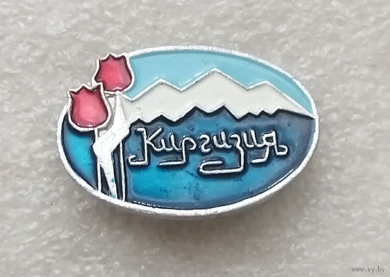 Киргизия. Киргизская ССР. Республики СССР #2563-CР41
