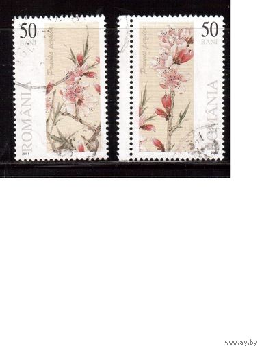 Румыния-2011(Мих.6537-6538) ,  гаш. , Флора, Цветы,(2)