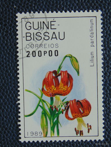 Гвинея- Бисау  1989г. Флора.