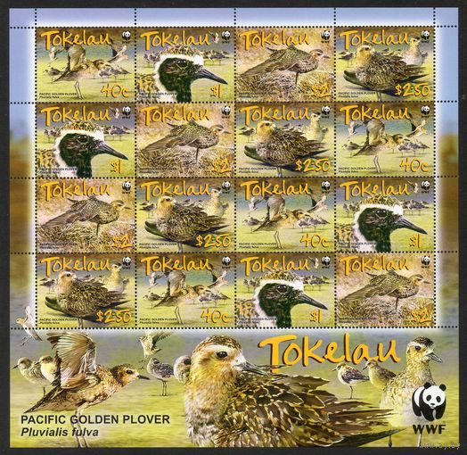 Бурокрылая ржанка Токелау (Новая Зеландия) 2007 год серия из 4-х марок в малом листе (4 серии)