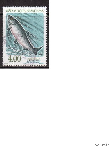 Франция-1990,(Мих.2801) ,  гаш.,  Фауна, Рыбы