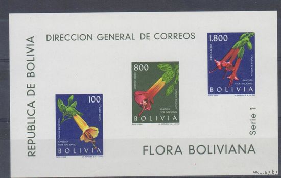 [1551] Боливия 1962. Флора.Цветы. БЛОК.