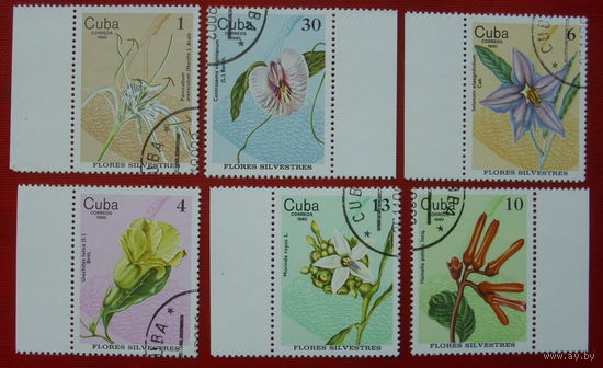 Куба. Цветы. ( 6 марок ) 1980 года. 3-17.