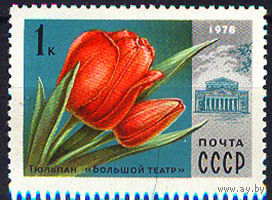 1976 СССР. Тюльпан